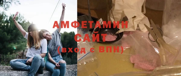 PSILOCYBIN Баксан