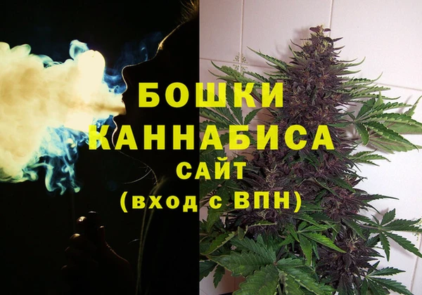 гашик Арсеньев
