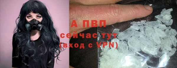 гашик Арсеньев