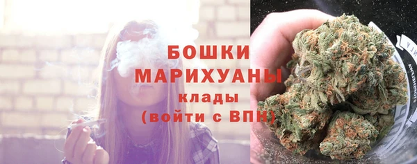 PSILOCYBIN Балабаново