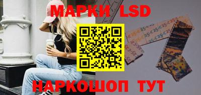 индика Камышлов