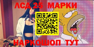 индика Камышлов