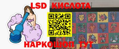 индика Камышлов