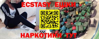 индика Камышлов