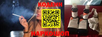 индика Камышлов