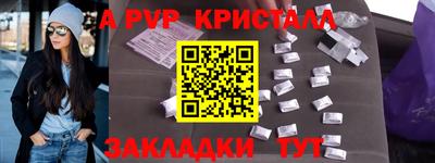 индика Камышлов