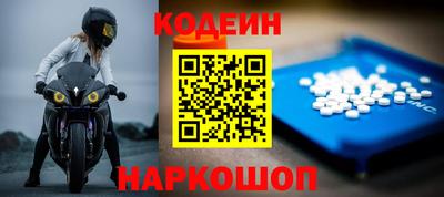 индика Камышлов