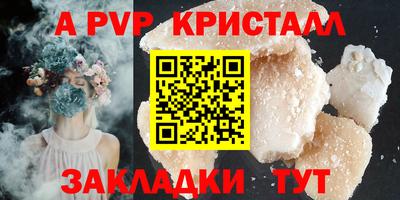 индика Камышлов