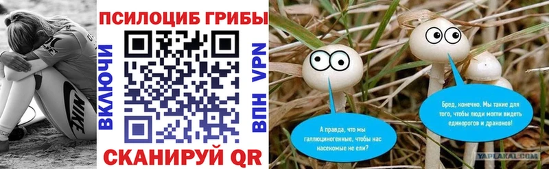Псилоцибиновые грибы мицелий  купить   Шатура 