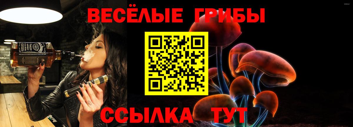 Псилоцибиновые грибы прущие грибы Шатура